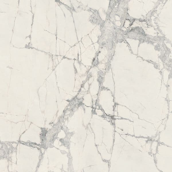 PREXIOUS REX MOUNTAIN TREASURE GLO 10MM 60X60R