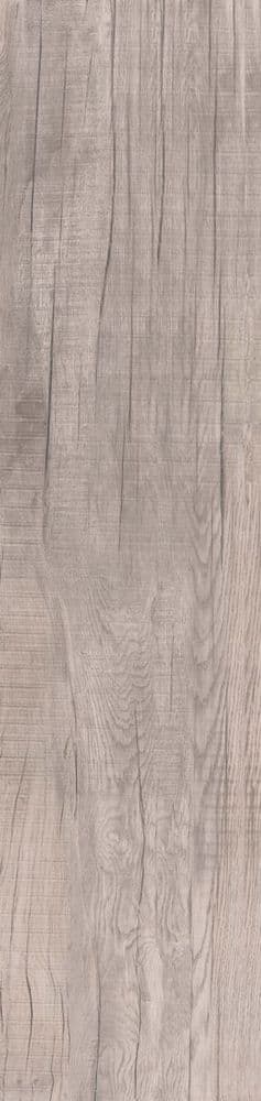 DOLPHIN MOON RETT. 40X170