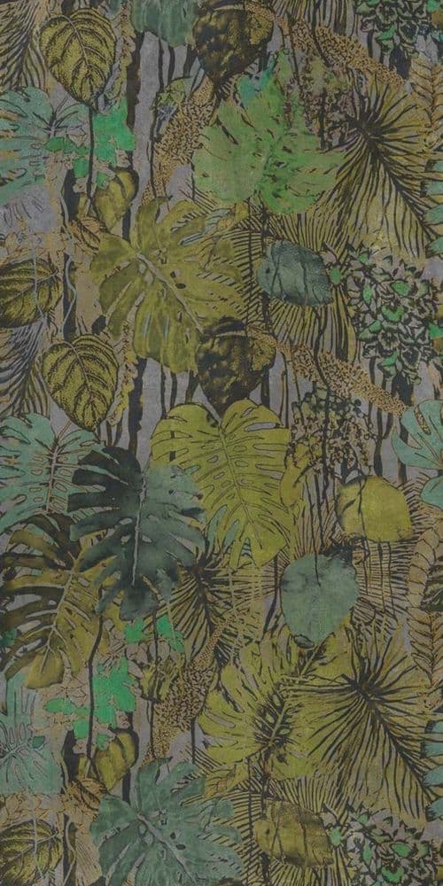 W&S D+ FOREST A 120X240
