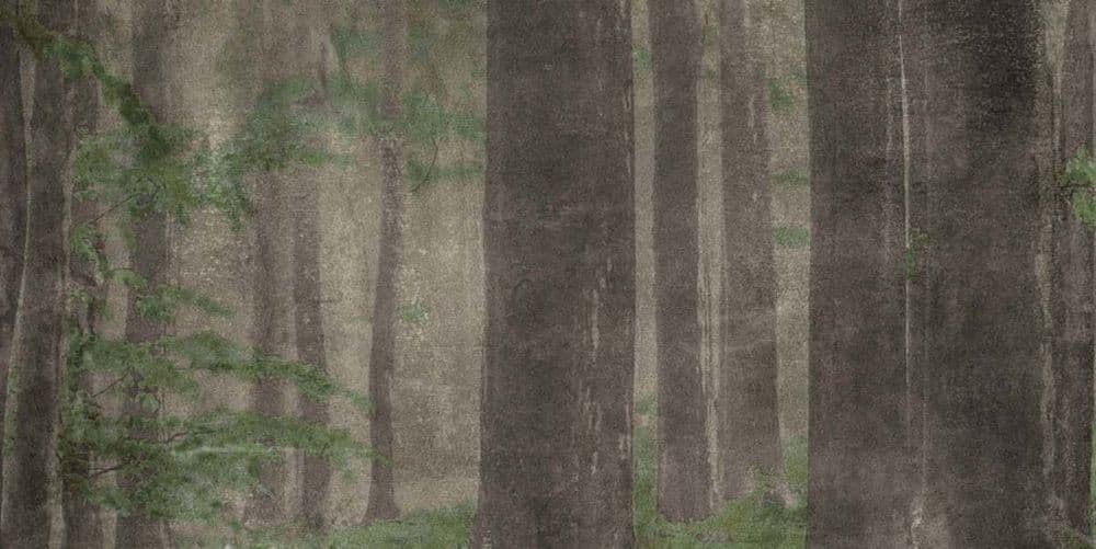 W&S D+ CP4 WOODS A 120X240