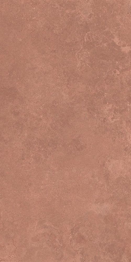 MIDI NATUR.TERRE NAT R60X120
