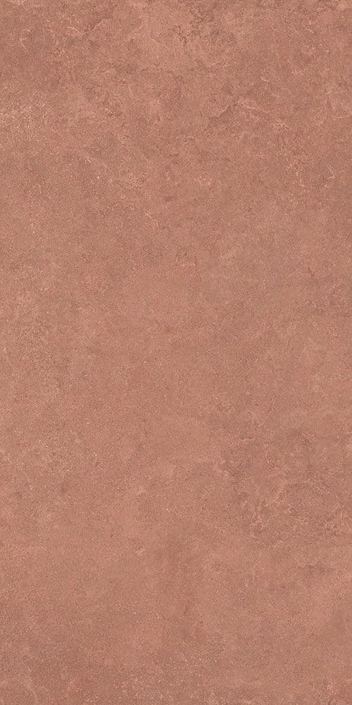 MIDI NATUR.TERRE NAT R60X120
