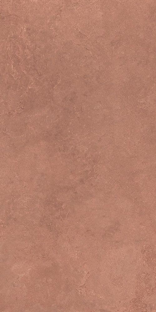 MIDI NATUR.TERRE NAT R60X120