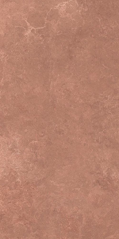 MIDI NATUR.TERRE NAT R60X120