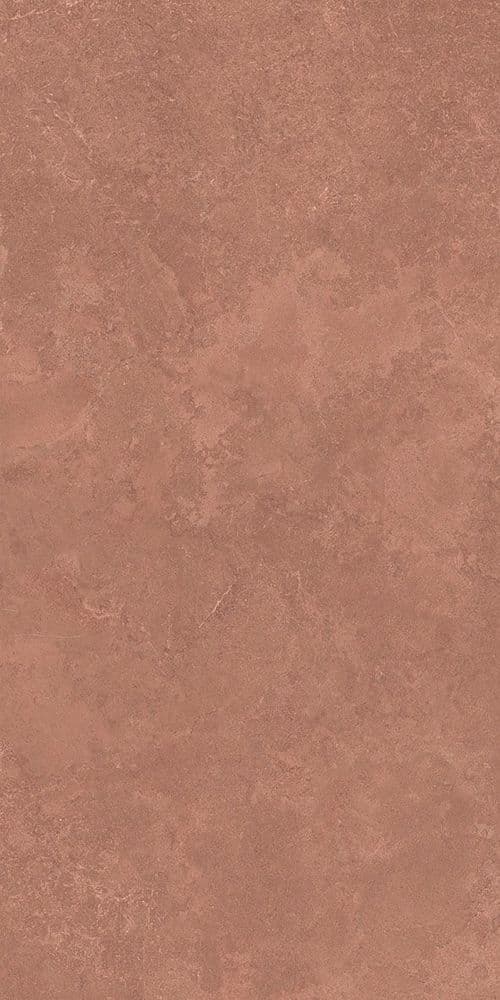 MIDI NATUR.TERRE NAT R60X120