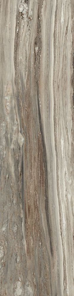 ETOILE TROPICAL GLO 6MM 60X240 RET
