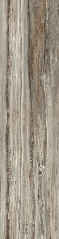 ETOILE TROPICAL GLO 6MM 60X240 RET