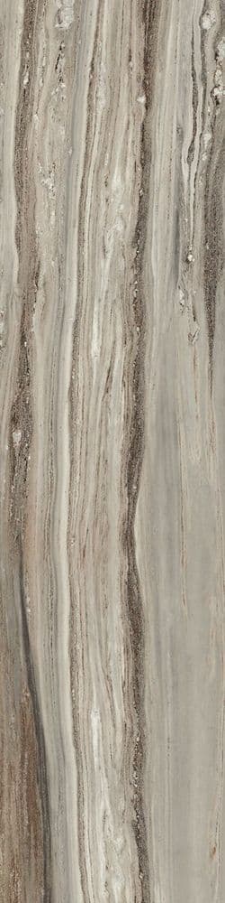 ETOILE TROPICAL GLO 6MM 60X240 RET