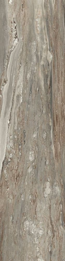 ETOILE TROPICAL GLO 6MM 60X240 RET
