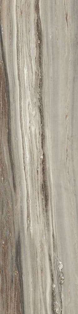 ETOILE TROPICAL GLO 6MM 60X240 RET