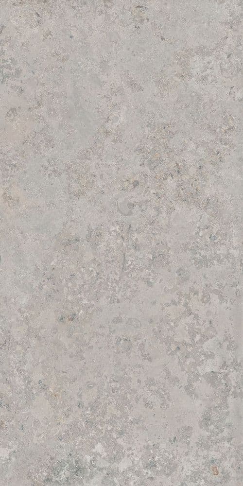 PTR.STN.RE JURA ASH NAT R60X120