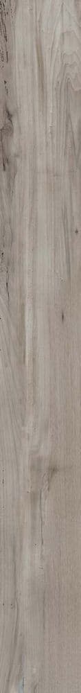 NEST TAUPE RETT 20x170