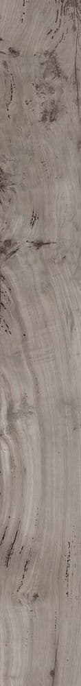 NEST TAUPE RETT 20x170