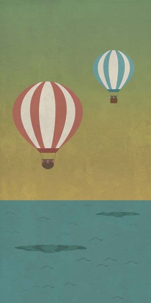 W&S D+ BALLOON B 160X320