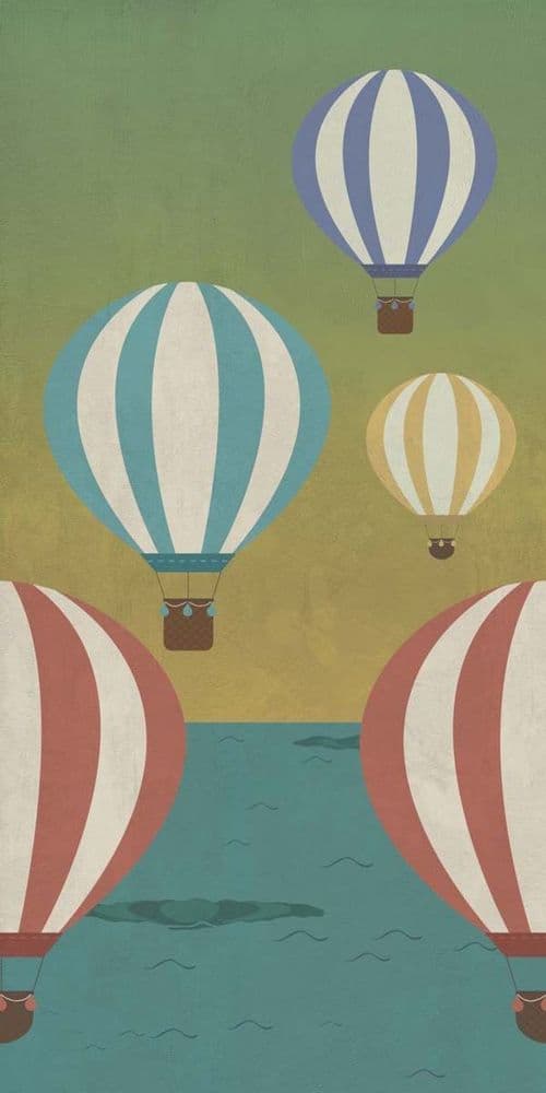 W&S D+ BALLOON C 160X320