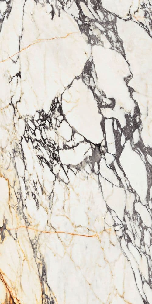 SPR.TREAS.CORCHIA GOLD NAT R 60X120