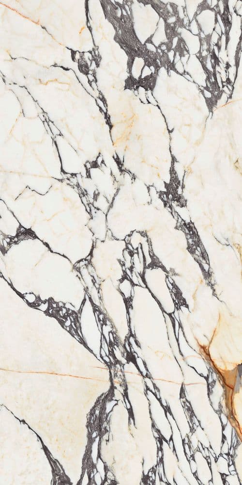 SPR.TREAS.CORCHIA GOLD NAT R 60X120
