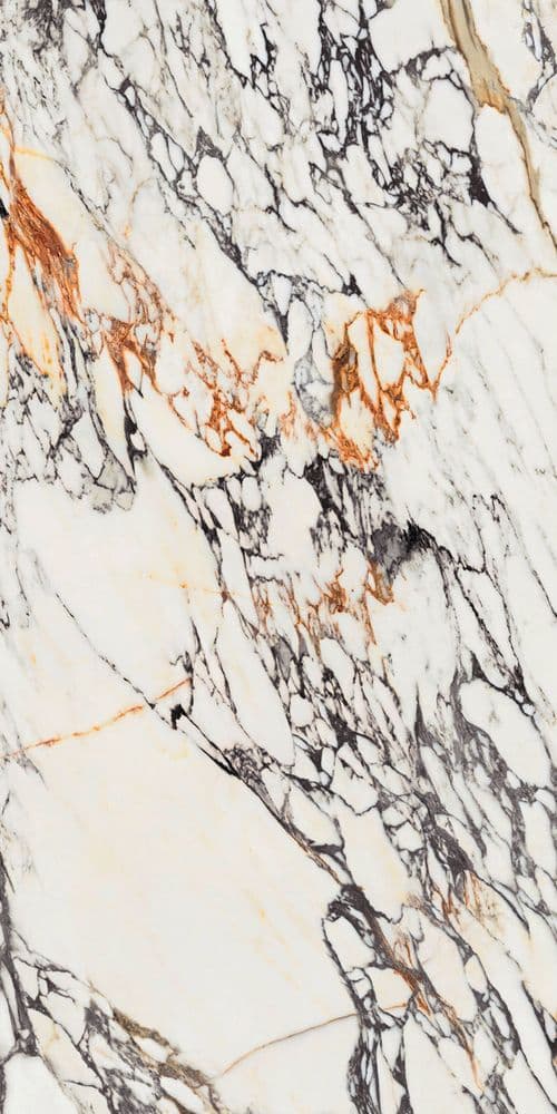 SPR.TREAS.CORCHIA GOLD NAT R 60X120