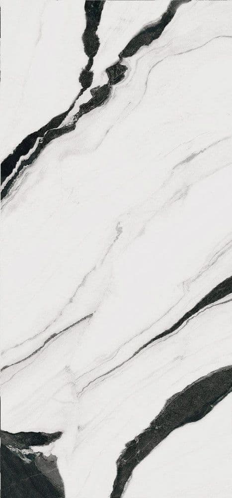 THE ROOM PAN WH6 278 LP