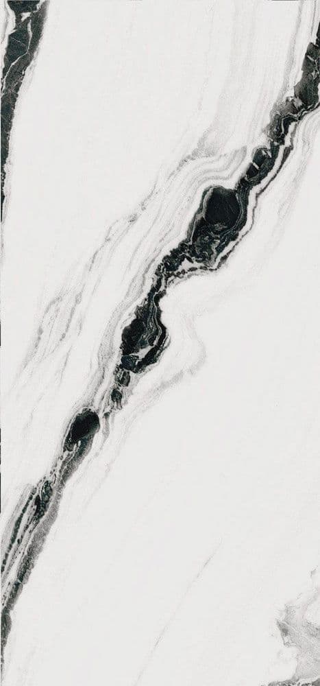 THE ROOM PAN WH6 278 LP