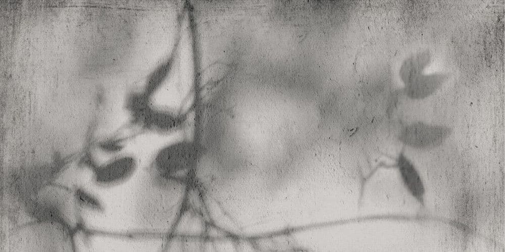 ART WALLS FROST LUX R60X120