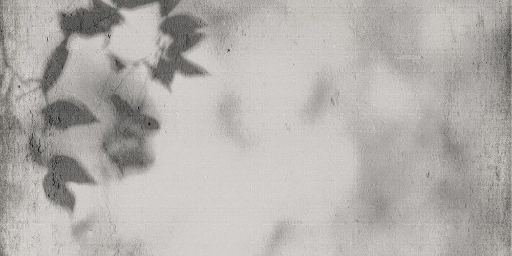 ART WALLS SHADOW NAT R60X120