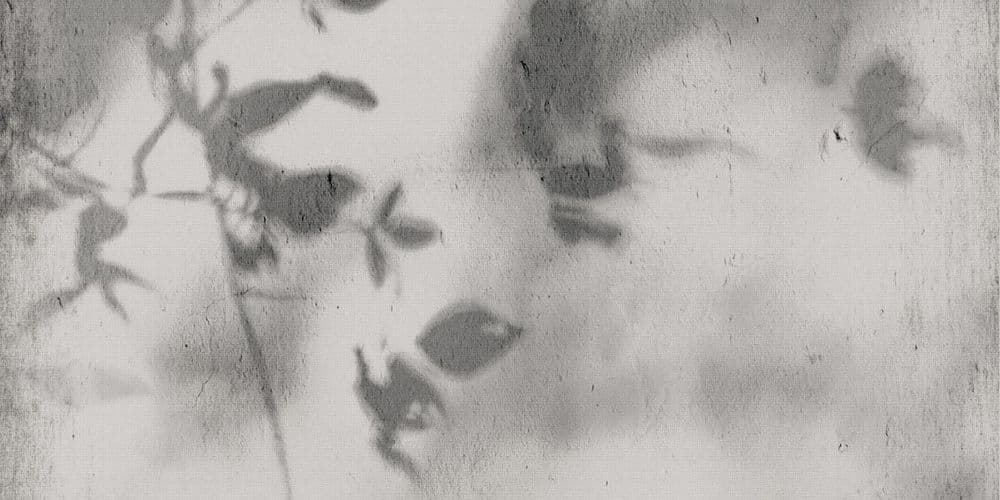 ART WALLS SHADOW NAT R60X120