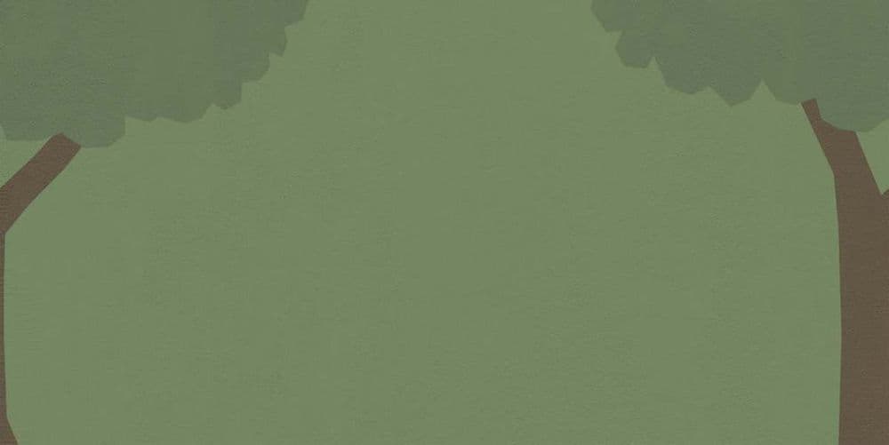 W&S D+ CP4 COUNTRY C 120X240
