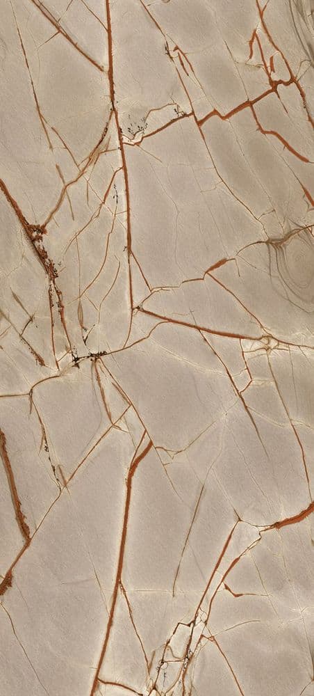 NATURE MOOD RAINFOREST GLOS 6MM120X280R