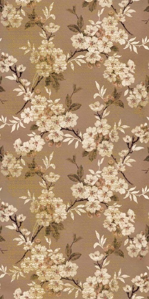 W&S D+ SAKURA 120x240