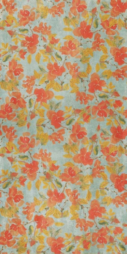 W&S D+ BRUSH TANGERINE 120x240