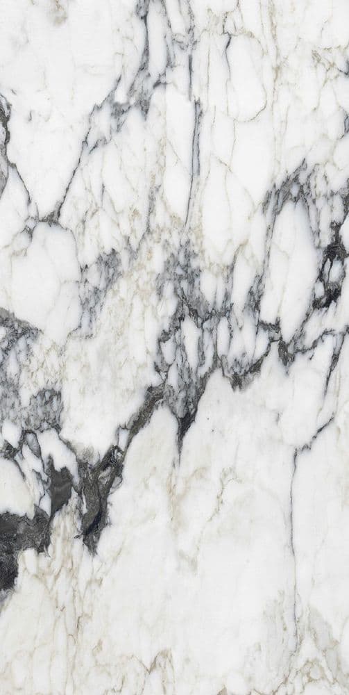 BIJOUX CALAC ALTISSIMO GLOSSY 60 x120 RET