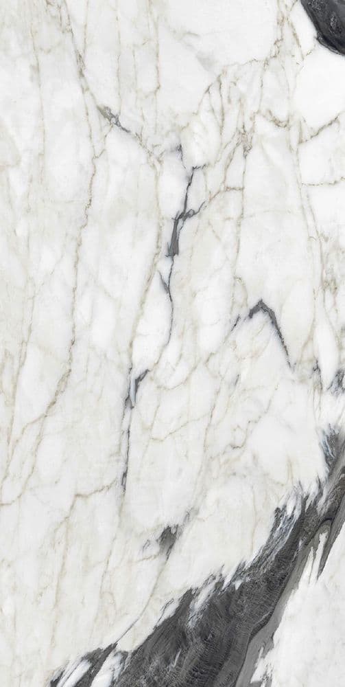 BIJOUX CALAC ALTISSIMO GLOSSY 60 x120 RET