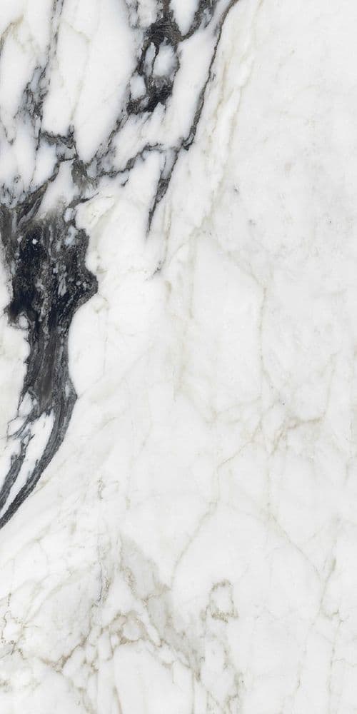BIJOUX CALAC ALTISSIMO GLOSSY 60 x120 RET