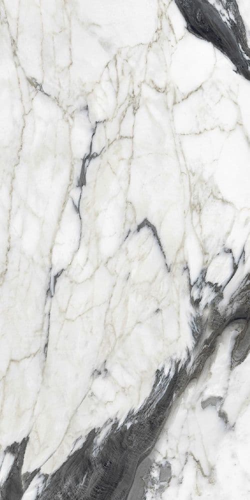 BIJOUX CALAC ALTISSIMO GLOSSY 60 x120 RET