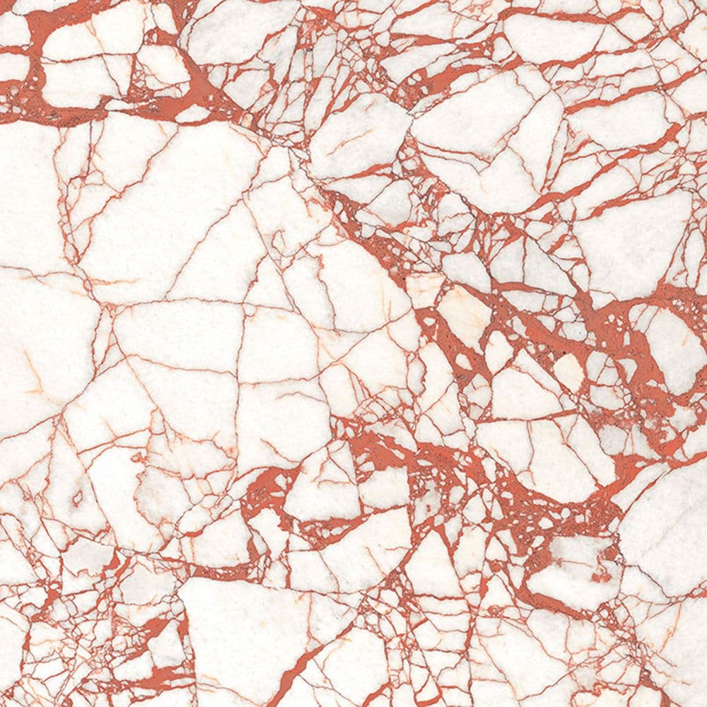 SUPREME HEDONISM CAL.DANTE NAT R120X120