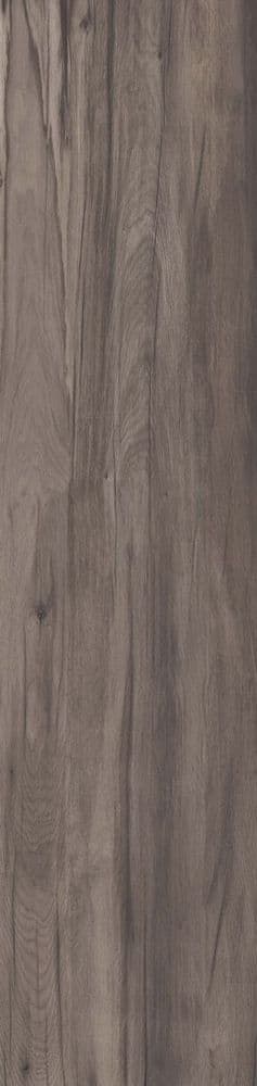 DOLPHIN COAL RETT. 40X170