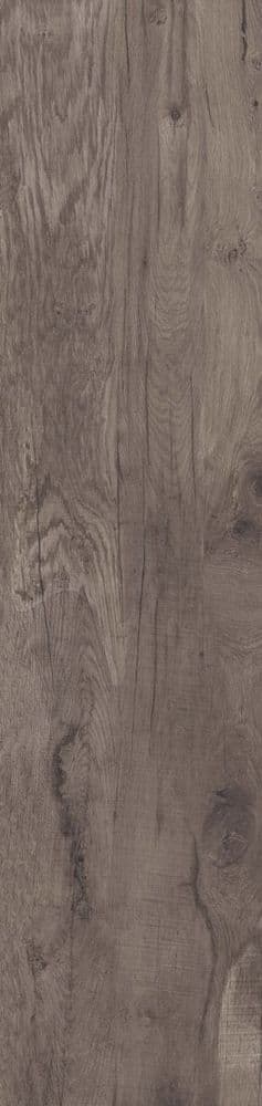 DOLPHIN COAL RETT. 40X170