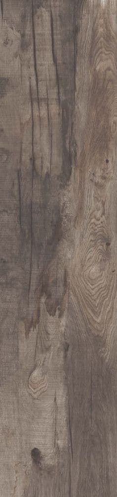 DOLPHIN COAL RETT. 40X170