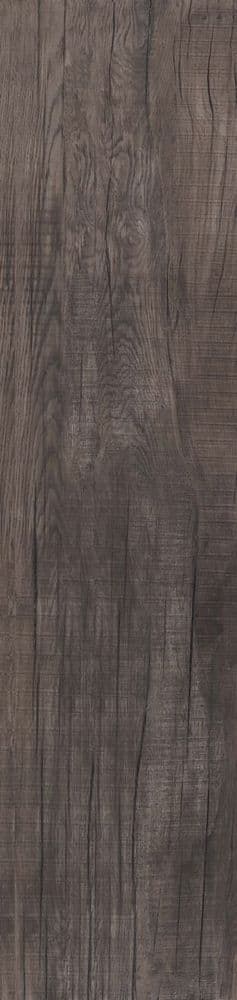 DOLPHIN COAL RETT. 40X170