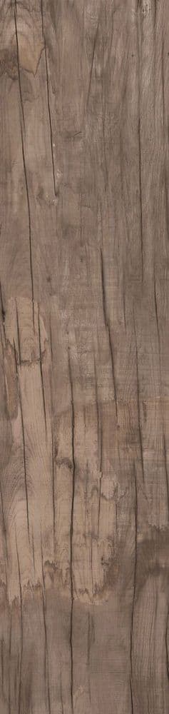 DOLPHIN OAK RETT. 40X170
