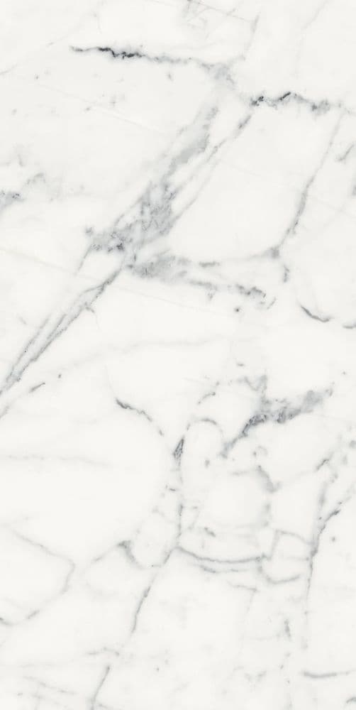 LES ORIGINES DE REX BLANC GLOSSY 60X120