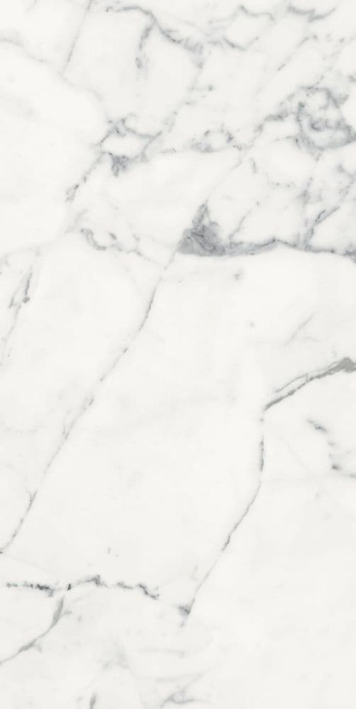LES ORIGINES DE REX BLANC GLOSSY 60X120