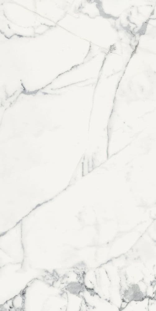 LES ORIGINES DE REX BLANC GLOSSY 60X120