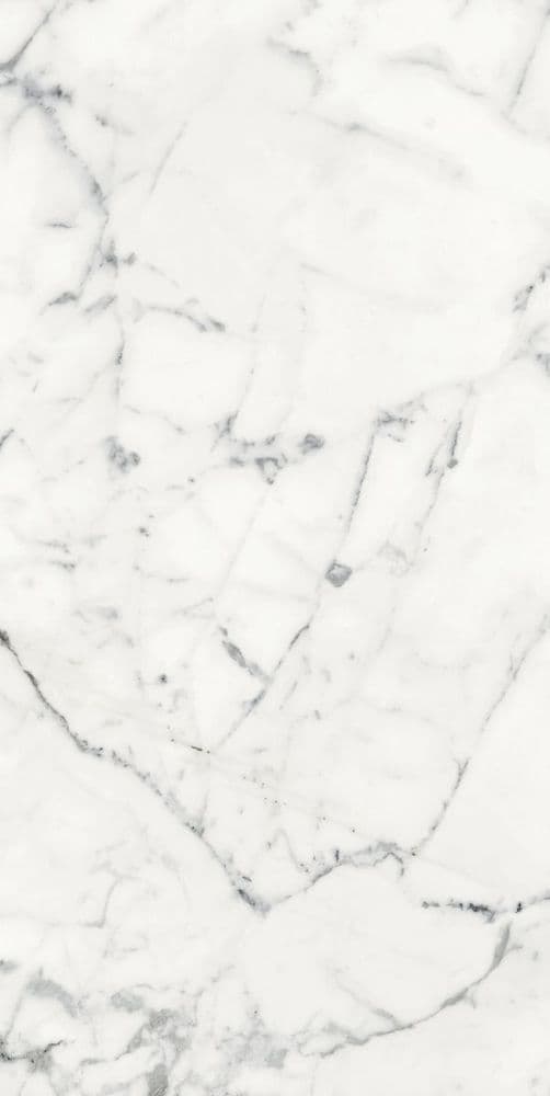 LES ORIGINES DE REX BLANC GLOSSY 60X120