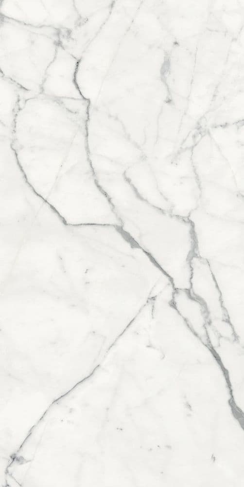 LES ORIGINES DE REX BLANC GLOSSY 60X120