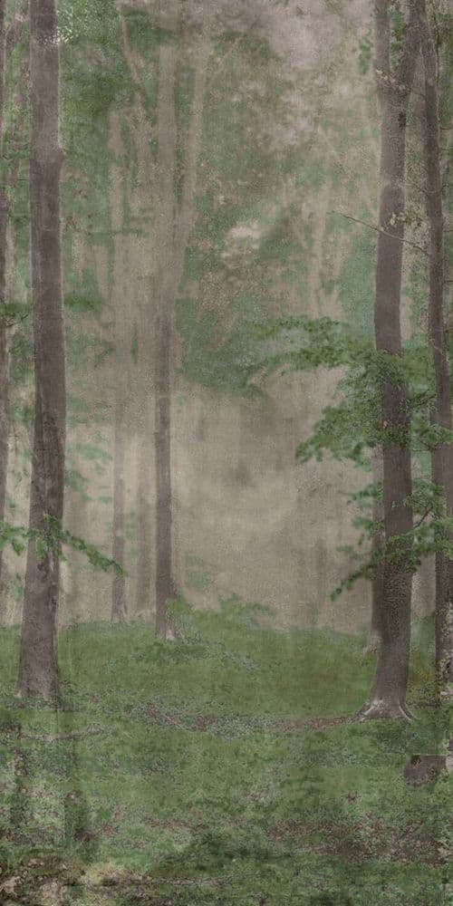 W&S D+ WOODS B 120x240