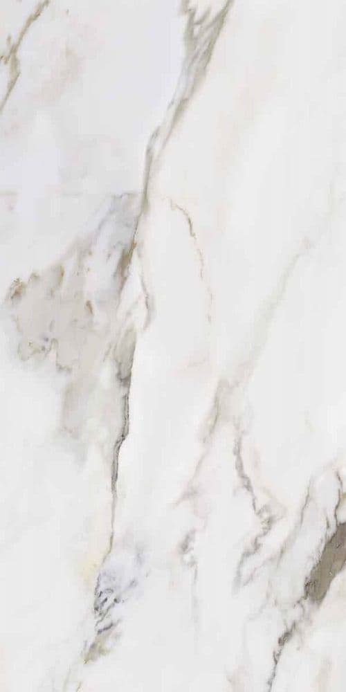 MARMO E PIETRA MACCHIA ANTICA LAPP. RETT. 60X120