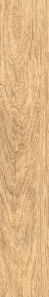 NATIVE NI1 ROVERE OLIATO 20x120