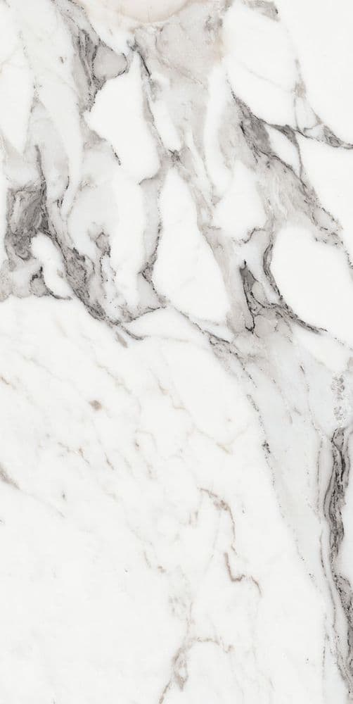 LES ORIGINES DE REX ARGENT GLOSSY 60X120